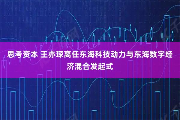 思考资本 王亦琛离任东海科技动力与东海数字经济混合发起式
