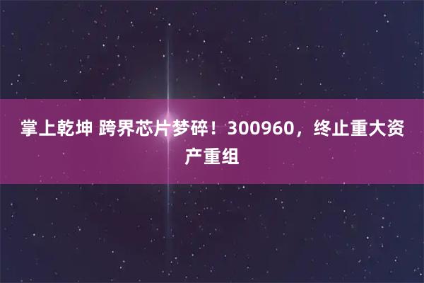 掌上乾坤 跨界芯片梦碎！300960，终止重大资产重组