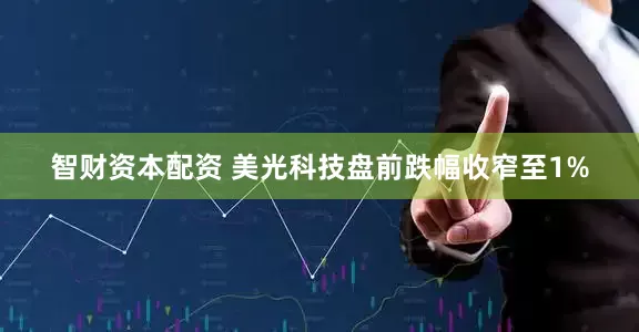 智财资本配资 美光科技盘前跌幅收窄至1%